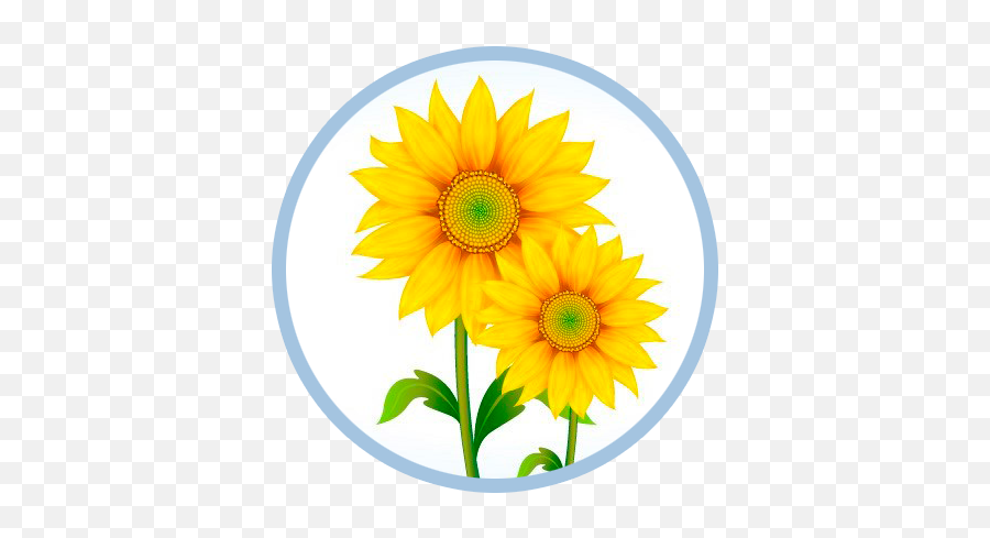 Class 2 Food U2014 Sunshine Family Healthcare Llc Emoji,Free Sunflower Clipart