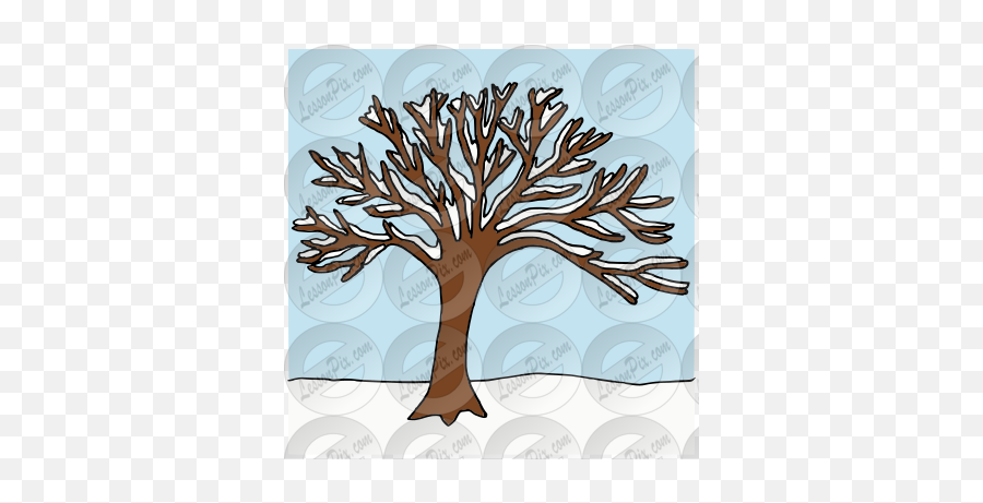 Winter Tree Picture For Classroom - Full Emoji,Winter Tree Clipart