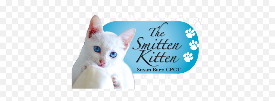 About Us The Smitten Kitten U2013 Cat Resort Emoji,9gag Logo