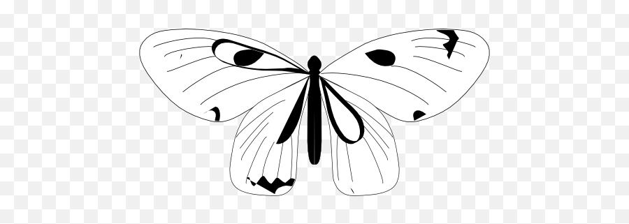 Black And White Butterfly Stickers And Decals Emoji,Moth Clipart Black And White