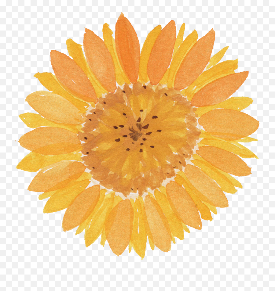 Watercolor Sunflower Png Transparent - Linhai Starter Clutch Emoji,Sunflower Png