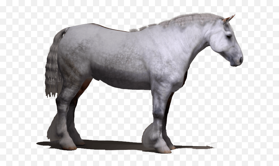 Wip - Draft Horse For Daz 3d Millennium Horse Emoji,Horse Transparent