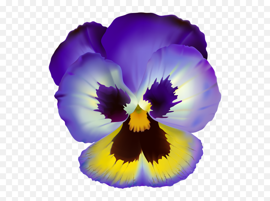 Violet Flower Transparent Clip Art - Color Pansy Flower Drawing Emoji,Clear Png
