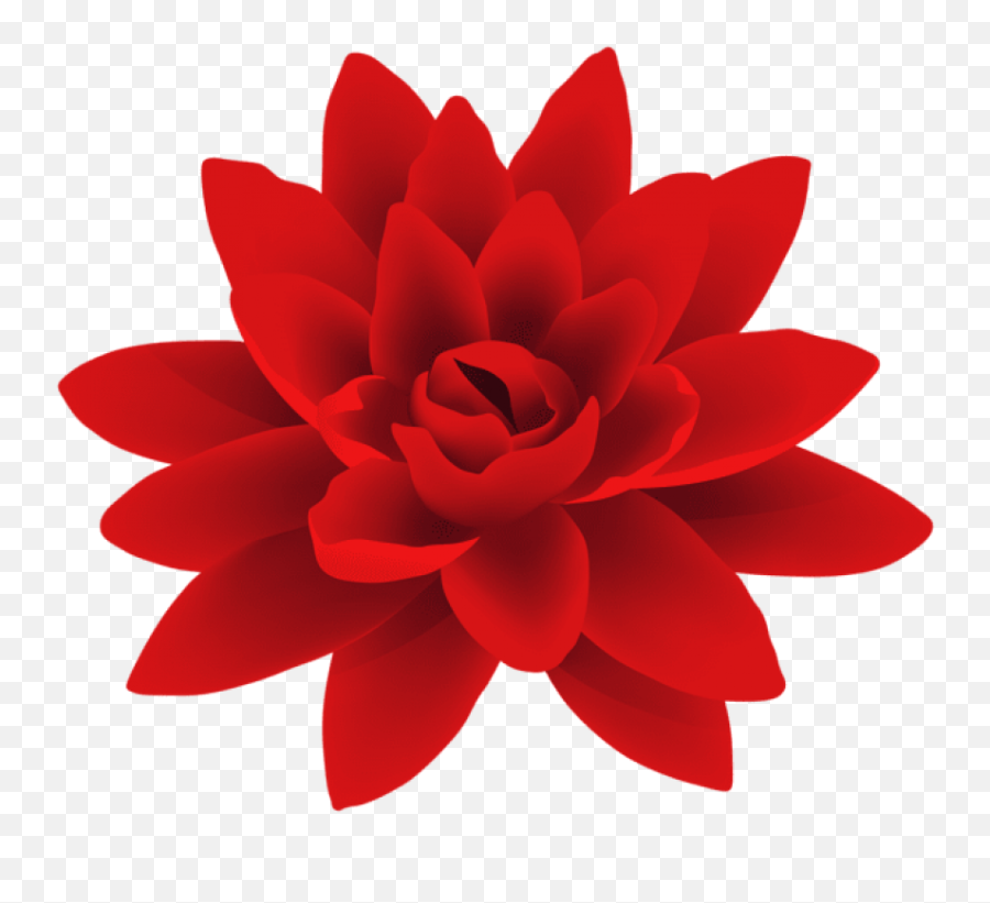 Flowers Png Tumblr - Red Flower Png Transparent Background Transparent Background Red Flowers Transparent Emoji,Red Flower Png