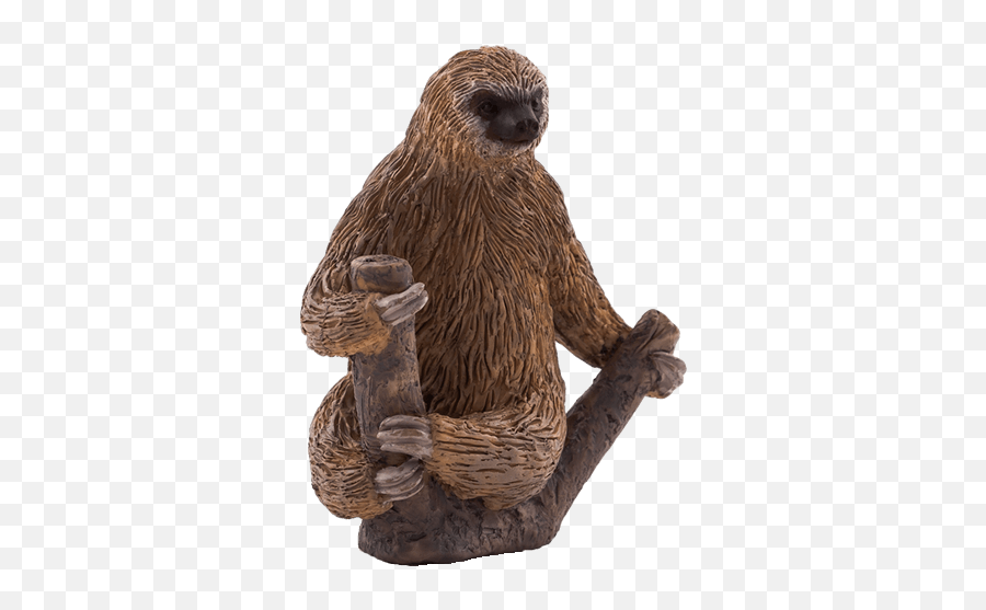 Download Did - Animal Planet Two Toed Sloth Png Image With Emoji,Animal Planet Logo Png