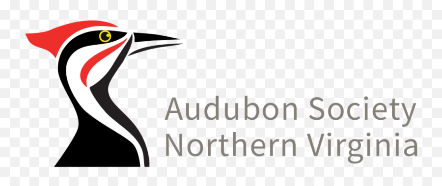 Birding In Northern Virginia U2014 Audubon Society Of Northern Emoji,Ebird Logo