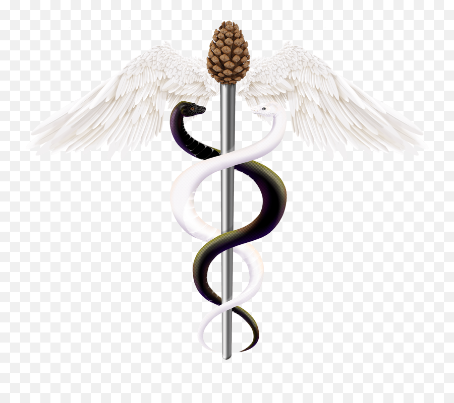 Ancient Scribe Client Project Caduceus On Behance Emoji,Medical Logo Snake