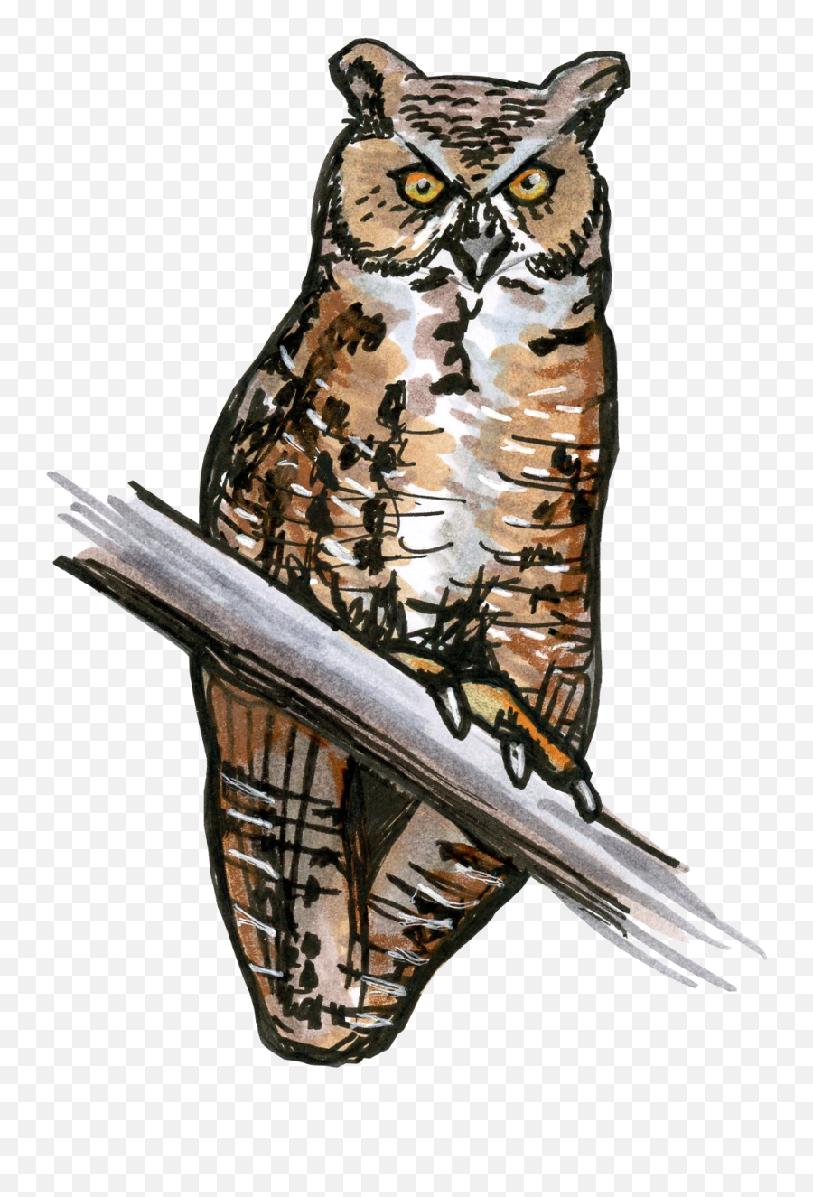 Download Horned Owl Png Banner Free - Great Horned Owl Eastern Screech Owl Emoji,Owl Png