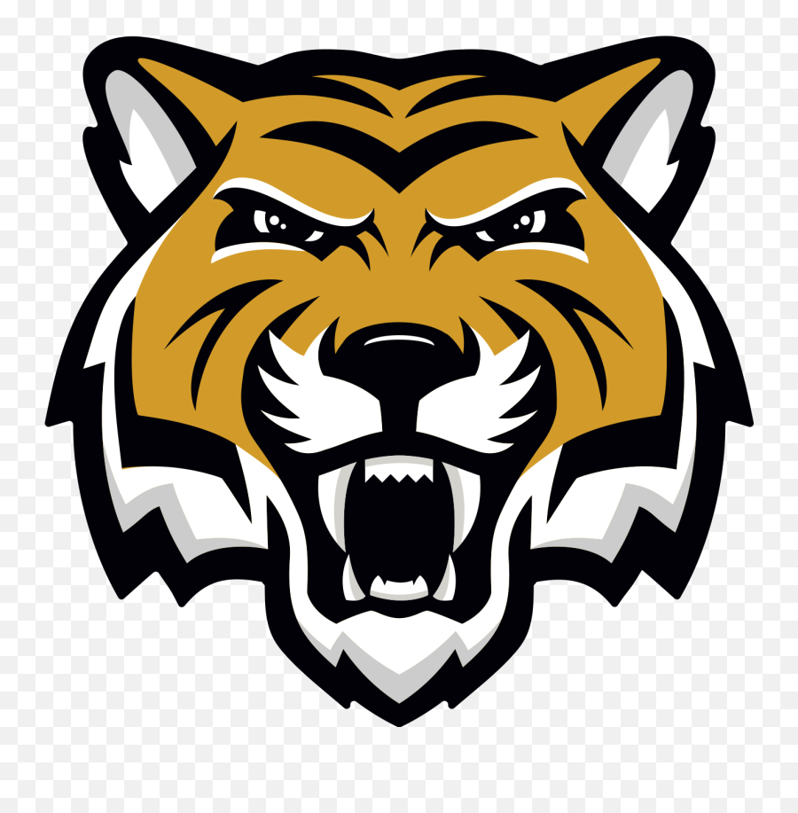 Communications Branding - North Allegheny Tiger Emoji,Tiger Logo