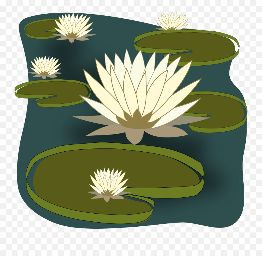 Free Fish Pond Clip Art Stock Png Files - Water Lilies Clipart Emoji,Pond Clipart