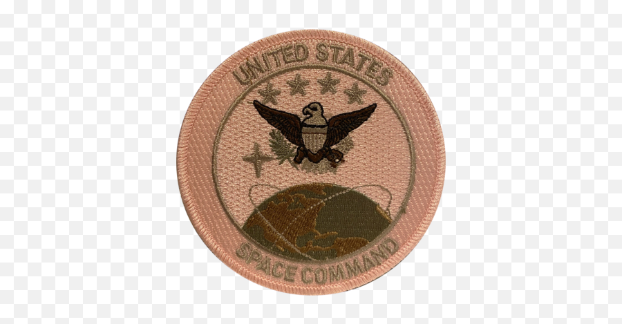 Spacex Space Force And Nasa U2013 Wwwamericasfrontlinecom - Eagle Emoji,Us Space Force Logo