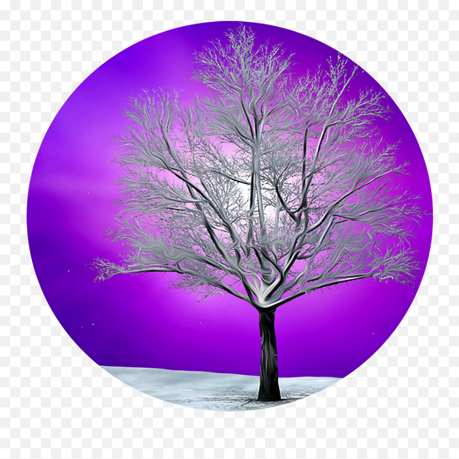 Celestial Winter Tree Transparent Emoji,Winter Tree Clipart