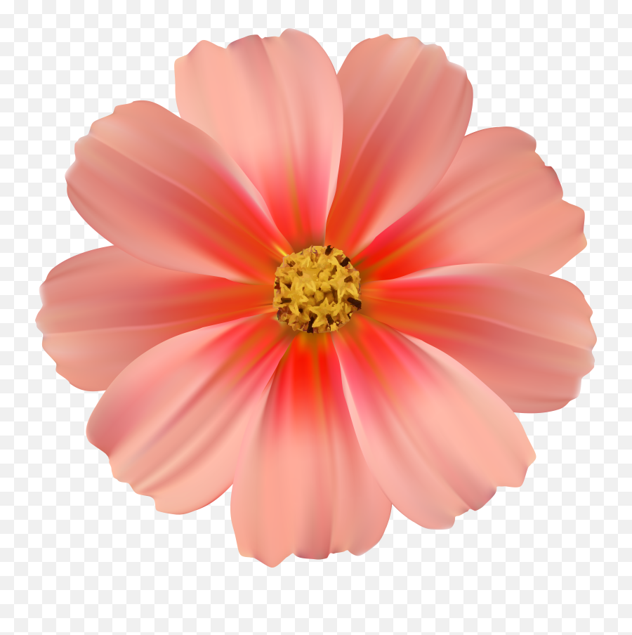 Library Of Daisy Flower Image Freeuse Stock Png Png Files Emoji,Daisy Clipart