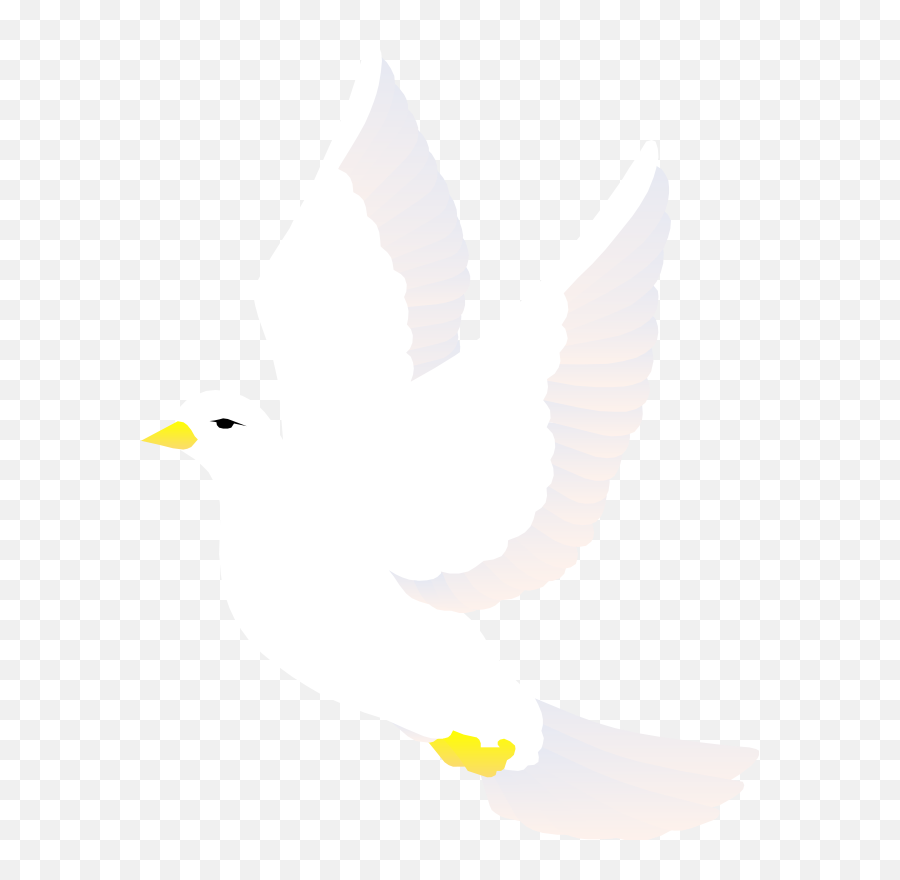 Bird White Transparent Png Image - Clipart White Bird Png Emoji,Free Bird Clipart