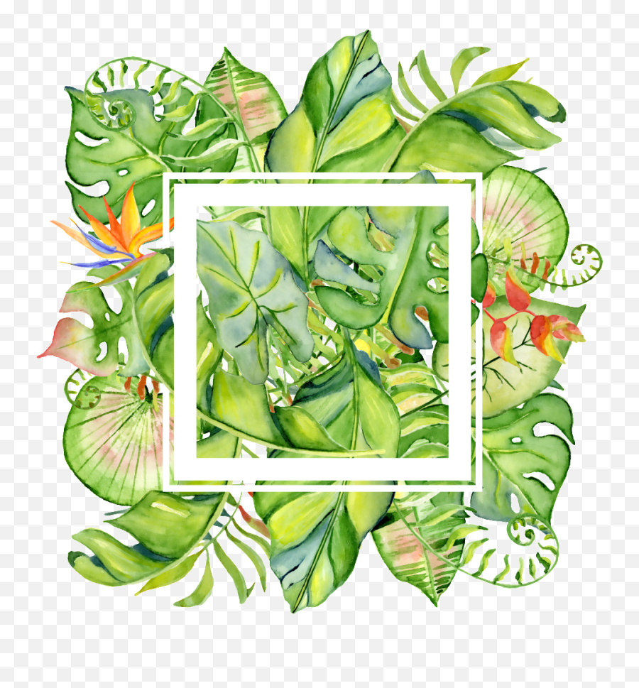 Painted Tropical Leaves Frame Png Transparent About Full Emoji,Tropical Leaves Png