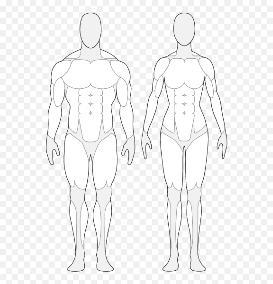 Human Body Outlines - Outline Male Body Clipart Emoji,Body Clipart