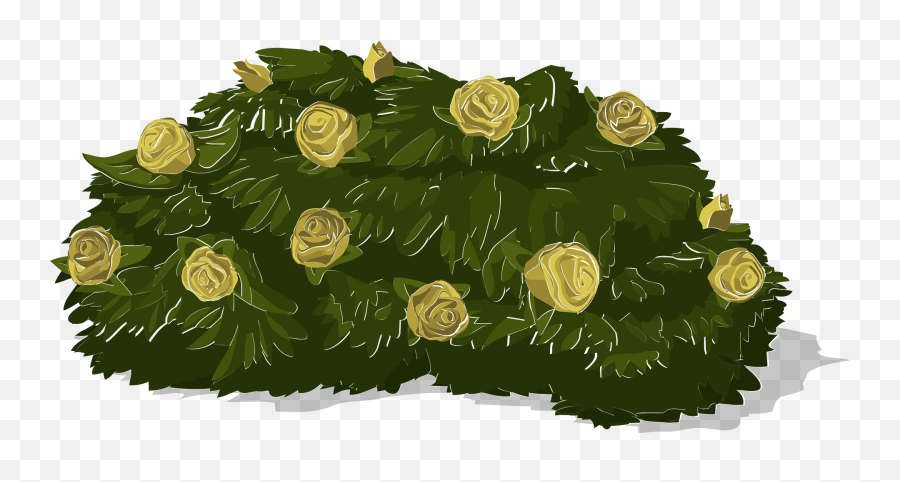 Download Bush Roses Yellow Green Greenery Shrub Nat - Shrub Png Emoji,Shrub Png