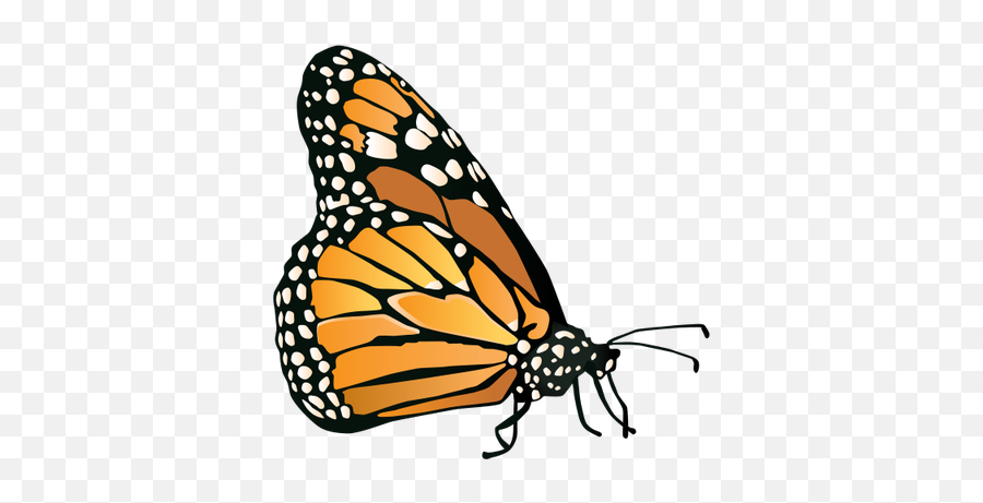 Free Monarch Butterfly Drawing - Drawing Butterfly Flapping Wings Emoji,Monarch Butterfly Clipart