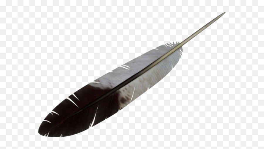 Feather Png - Native American Feathers Png Emoji,Eagle Feather Png