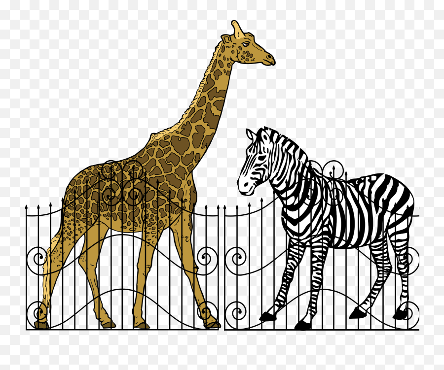 Zoo Animals Svg Vector Zoo Animals Clip Art - Svg Clipart Tall And Short Animal Emoji,Zoo Clipart