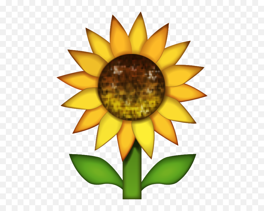 Download Sunflower Emoji Image In Png - Sunflower Ios Emoji Png,Sunflower Png