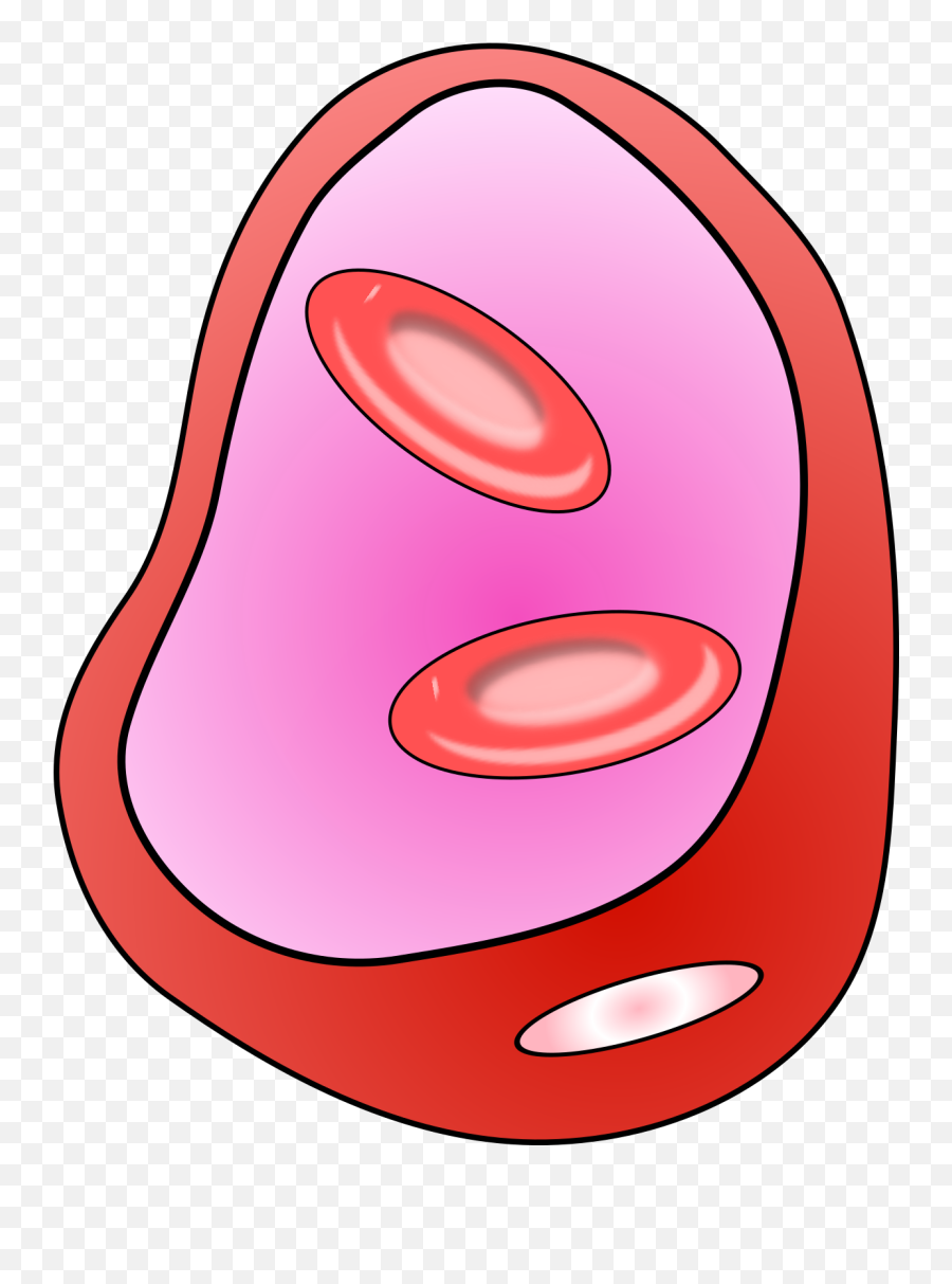 Erythrocyte Red Blood Cell Svg Vector Erythrocyte Red Blood - Dot Emoji,Cell Clipart