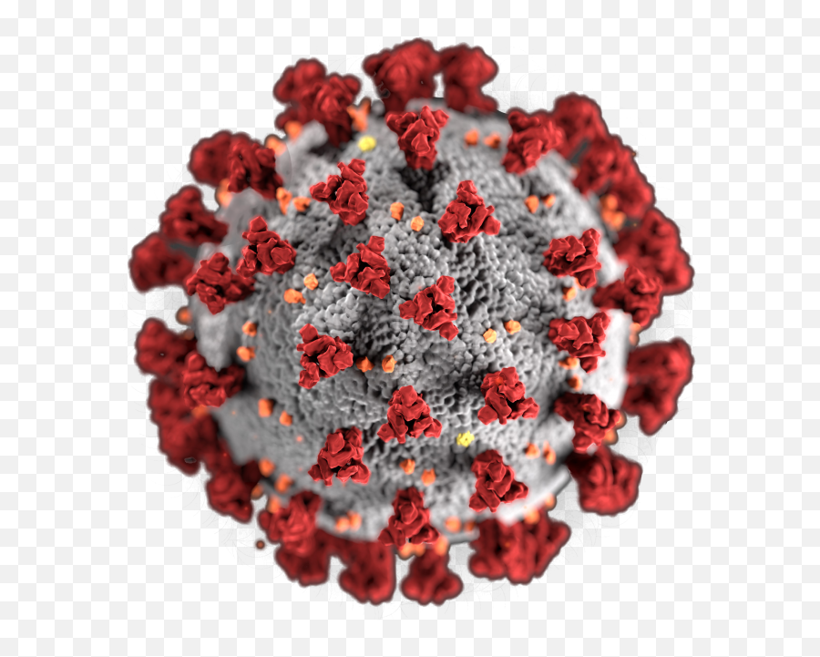 Coronavirus Covid - 19 Blood Test Png Photo 977 Free Png Covid 19 Spike Emoji,Test Png
