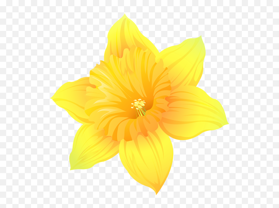 Daffodil Art Museum Pixel Art Petal - Clipart Daffodil Png Transparent Emoji,Yellow Flower Transparent