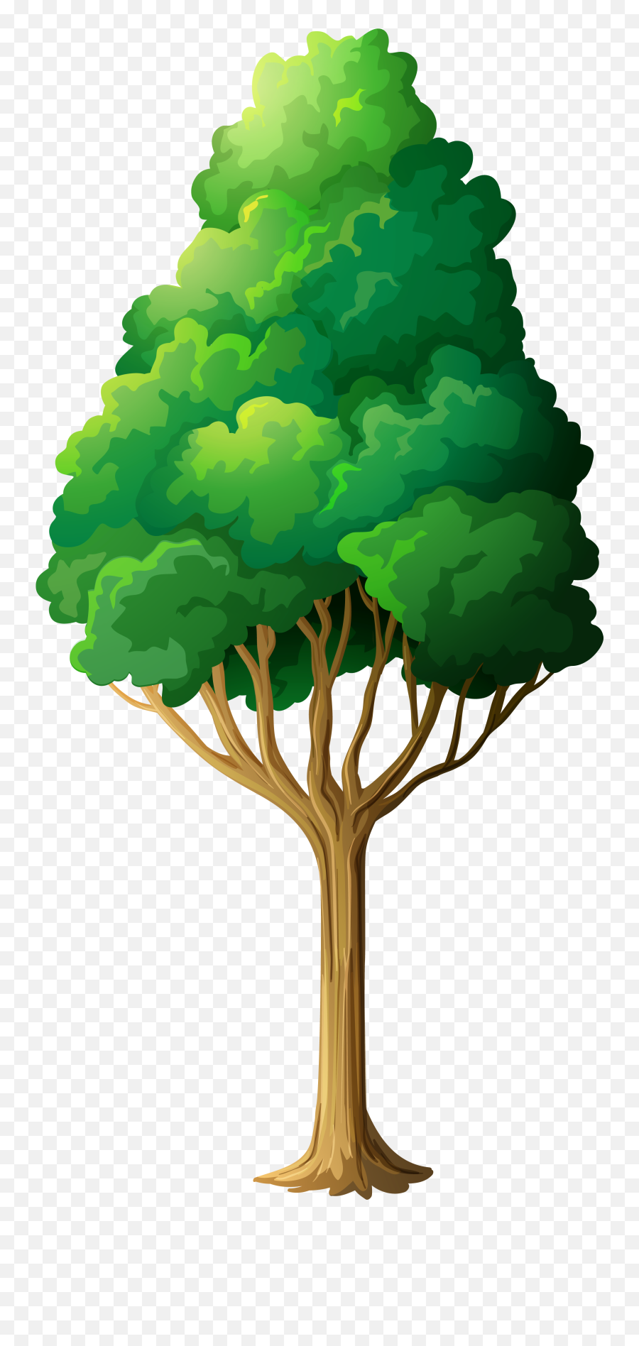 Trees Green Tree Clipart - Green Tree Clipart Emoji,Tree Clipart