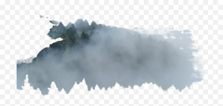 Aerial Photography Of Foggy Forest Transparent Background Emoji,Forest Transparent Background