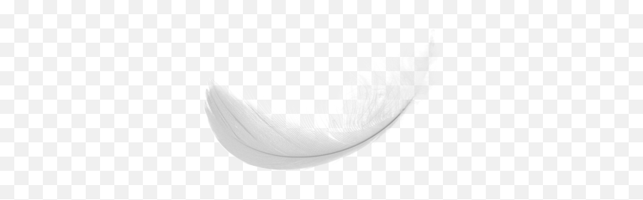 Shape Feather Png Picpng Emoji,Feather Transparent