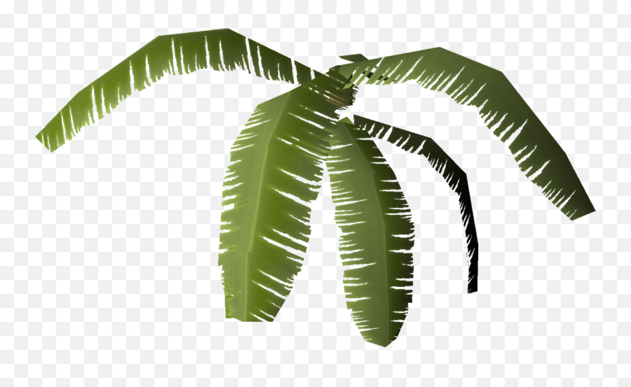 Tropical Leaves - Osrs Wiki Emoji,Tropical Leaves Png
