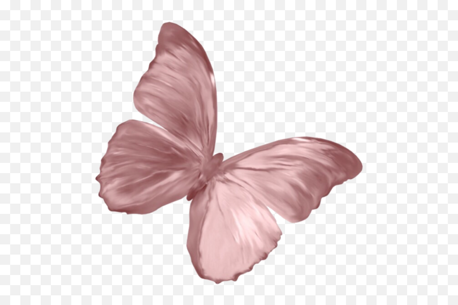 Butterfly Aesthetic Png Emoji,Monarch Butterfly Transparent Background