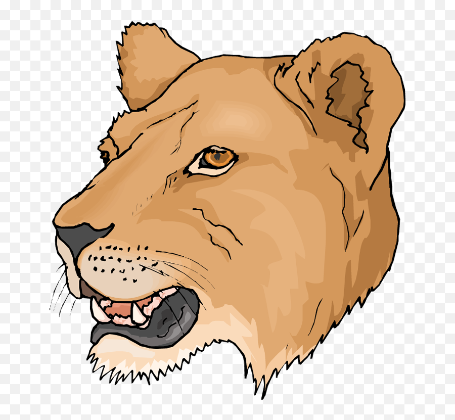 0 Png - Lioness Clipart Emoji,Lion Head Clipart