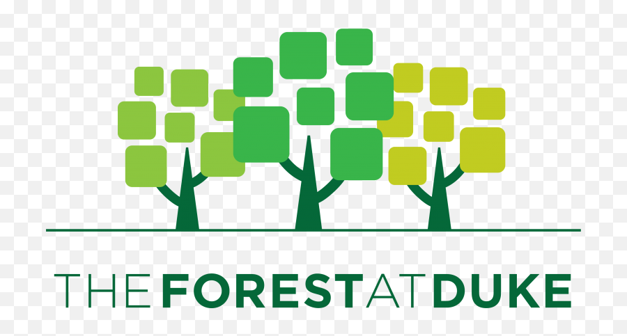 Forest At Duke - Forest At Duke Logo Emoji,Duke Logo