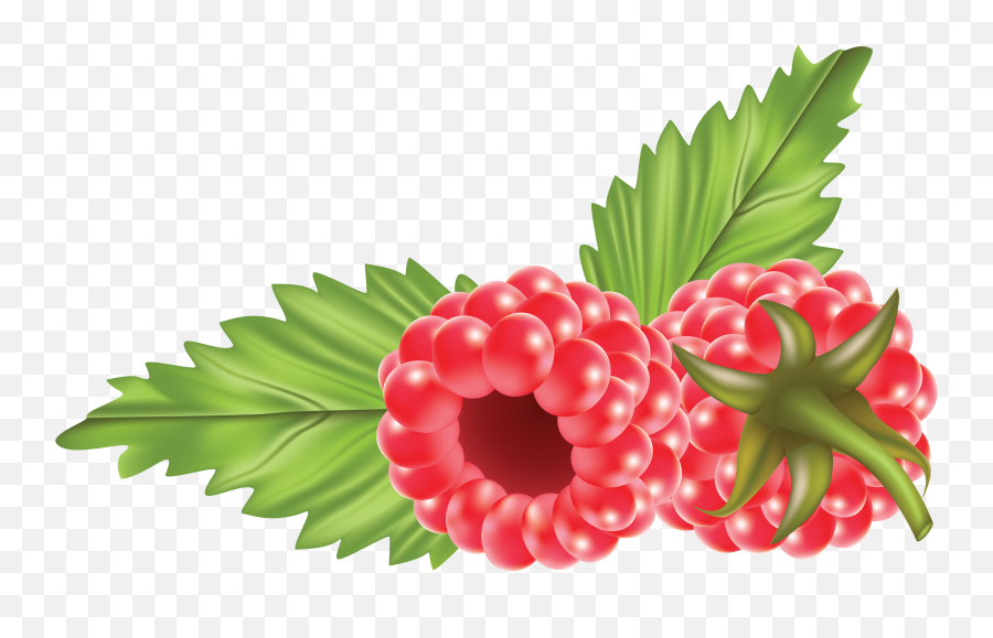 Rraspberry Png Image - Clipart Raspberry Png Emoji,Raspberry Clipart