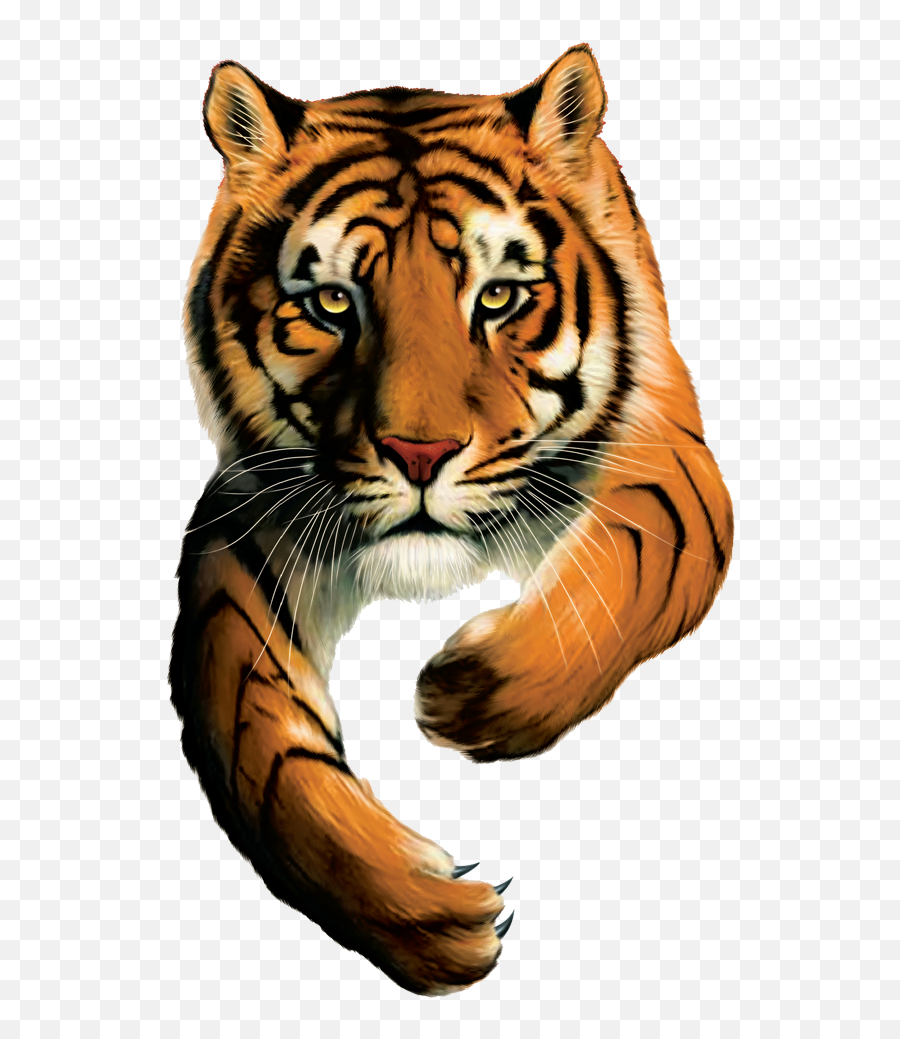 Tiger Logo - Tiger Brands Emoji,Tiger Logo