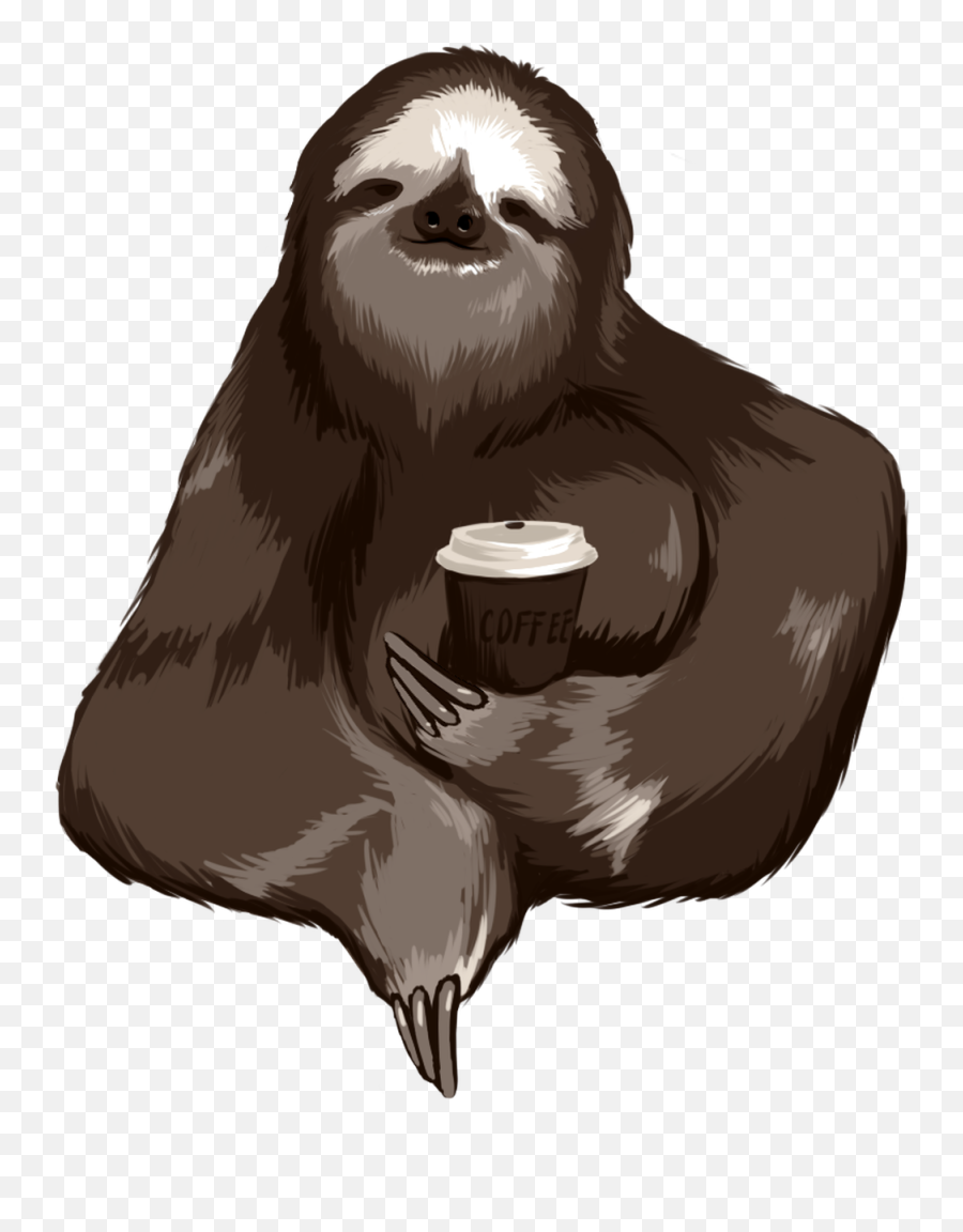 T - Shirt Coffee Iphone 5s Sloth Telephone Sloth Png Emoji,Sloth Transparent Background