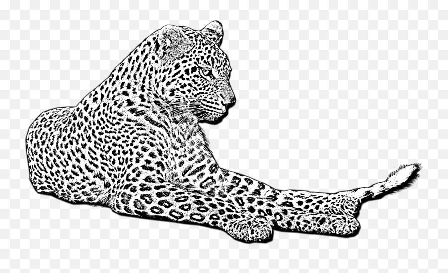 Leopard Clipart - Transparent Black And White Leopard Clipart Emoji,Leopard Clipart