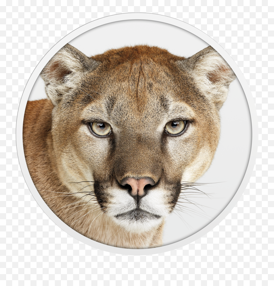 Charlotte Street Computers - Apple Premier Partner Macos Mountain Lion Icon Emoji,Windows Vista Logo