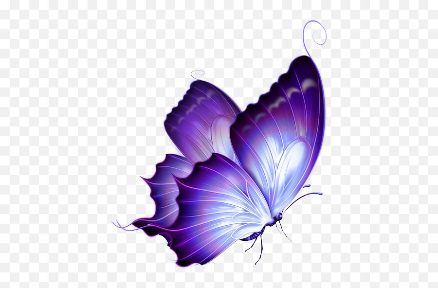 Butterfly Png Images Transparent - Purple Butterfly Png Emoji,Png