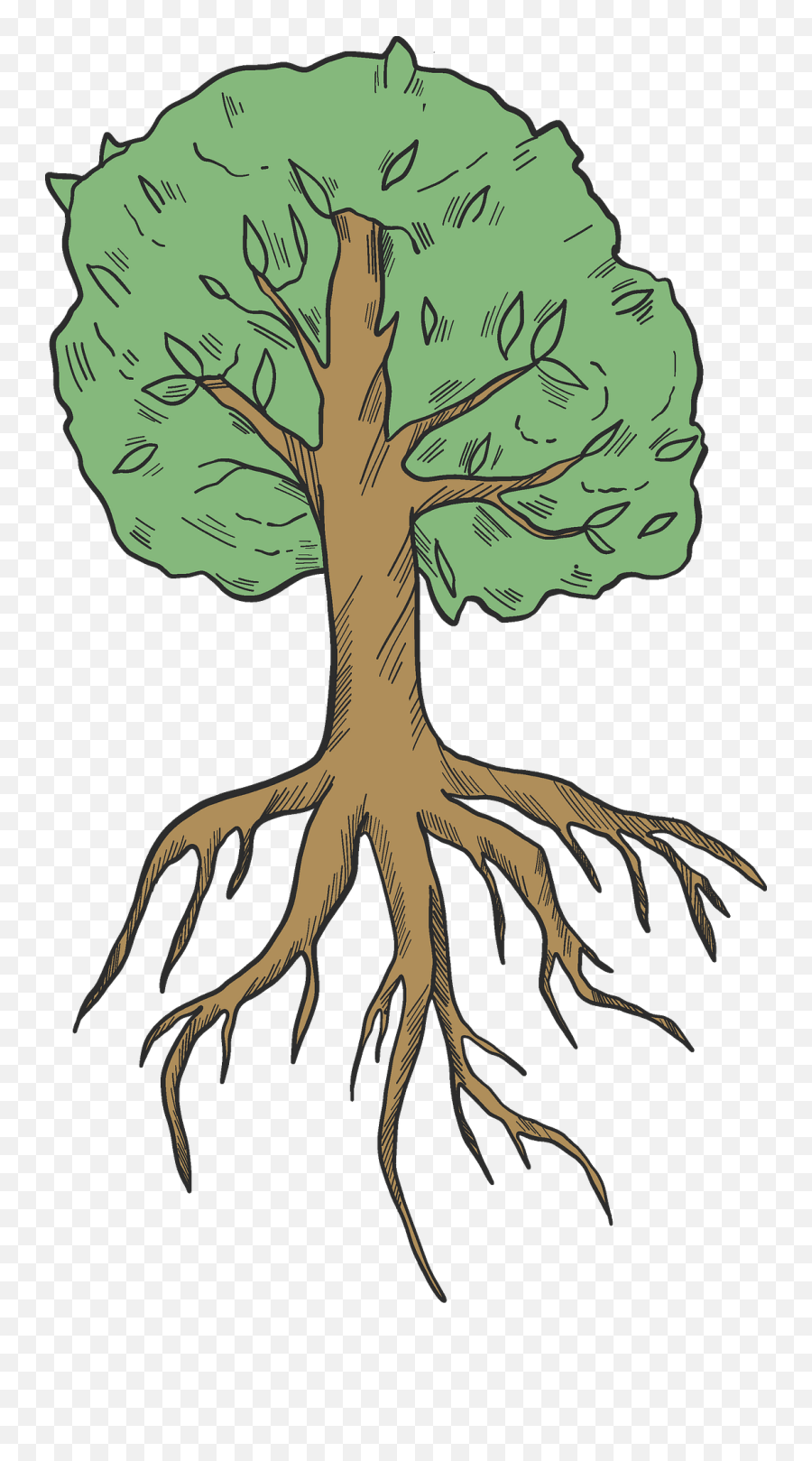 Tree With Roots Clipart - Tree Root Clipart Emoji,Roots Png