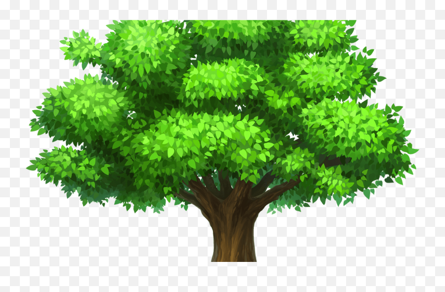 Download Oak Tree Image Royalty Free - Transparent Trees Clipart Png Emoji,Tree Clipart Png