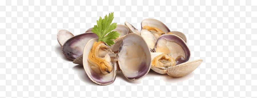 Free Clams Png Picture - Clams Png Emoji,Clam Png