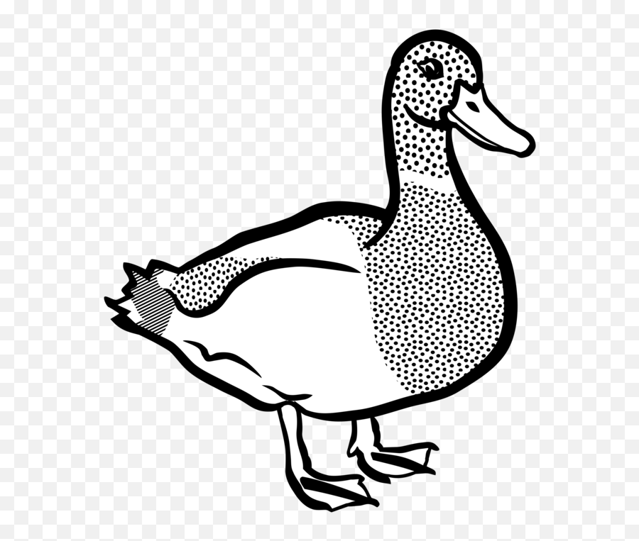 Livestock Fowl Goose Png Clipart - Clip Art Emoji,Goose Clipart