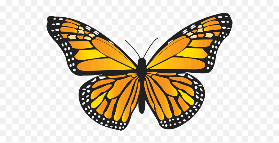 Monarch Butterfly Butterfly Images - Orange Butterfly Emoji,Monarch Butterfly Clipart