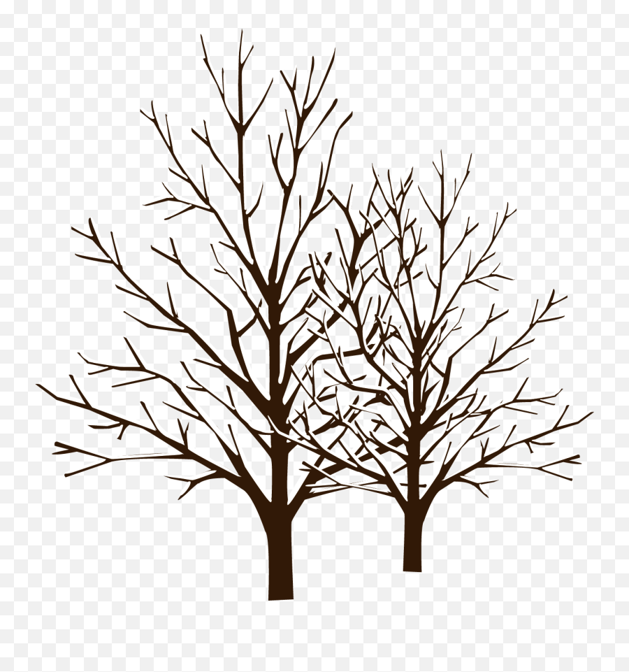 Library Of Winter Tree Clip Art - Winter Trees Clip Art Emoji,Winter Tree Clipart