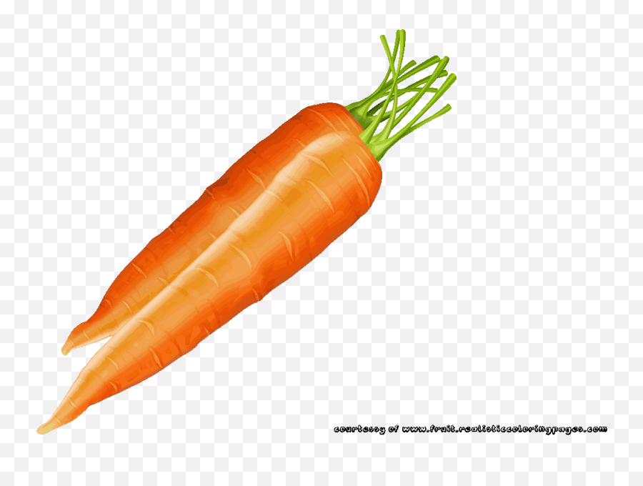 Download Vegetables Clipart Carrot - Baby Carrot Png Image Baby Carrot Emoji,Vegetables Clipart