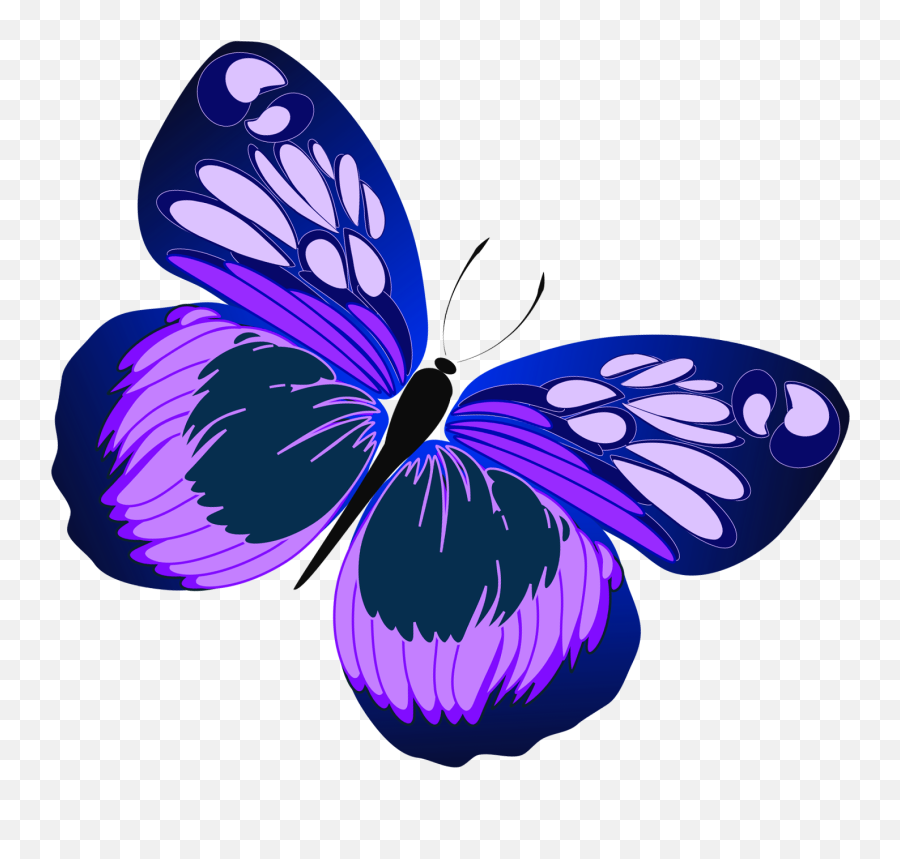 Blue And Purple Butterfly Png Clipart - Clip Art Butterfly Emoji,Clipart