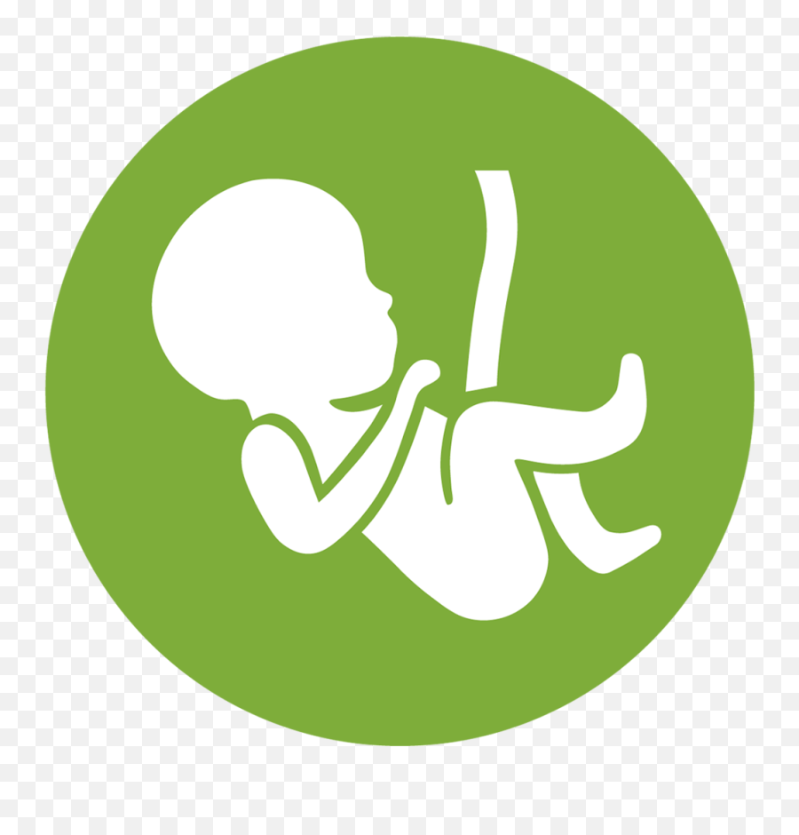 Download Hd Obs - Gynaecology U0026 Obstetrics Icon Transparent Obstetrics Gynaecology Icon Emoji,Obs Png
